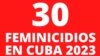 30 feminicidios registrados en Cuba en 2023. Imagen obtenida del Facebook de Alas Tensas. 