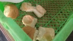 Facebook Mambisa Agramontina (Social Media) 