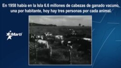 Historia Perdida: Cuba y la ganadería