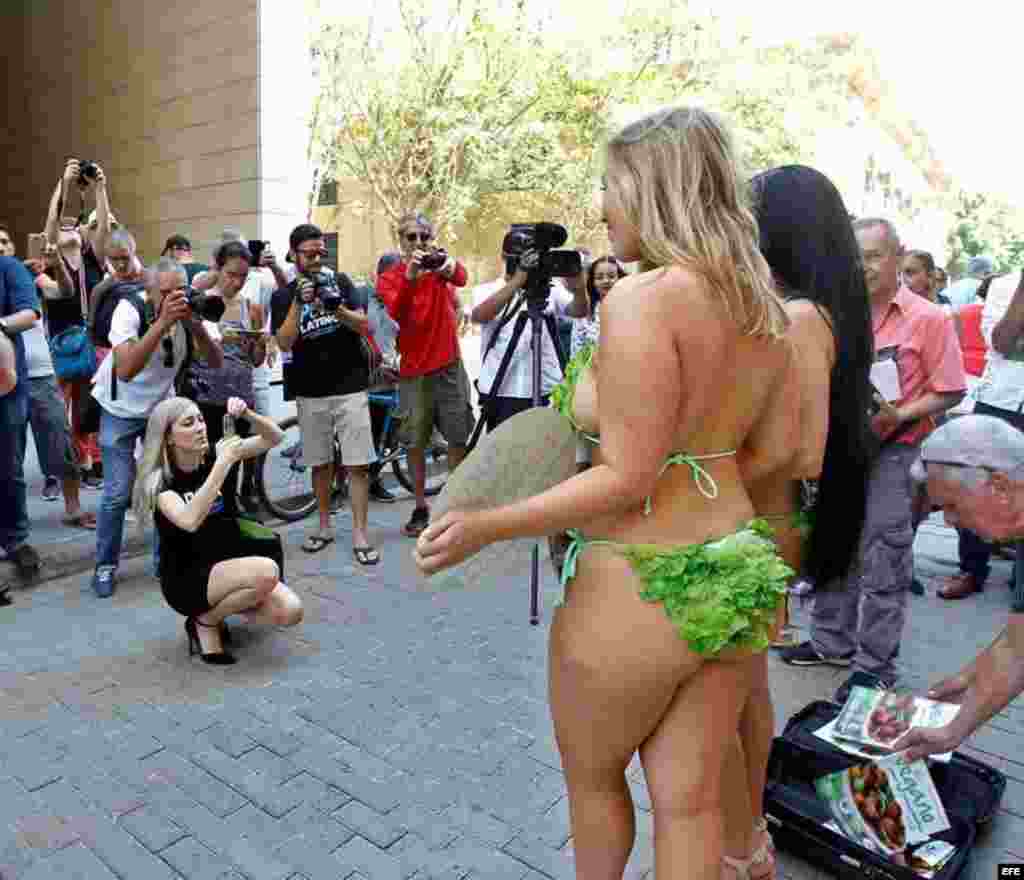 Fotógrafos toman fotos a las Damas lechuga, que posan en una calle habanera donde le pidieron a los cubanos que no coman carne... &nbsp;