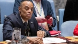 Tomado de https://media.un.org/ (Web Screenshot)