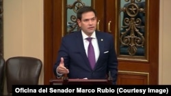 El senador republicano de origen cubano, Marco Rubio.