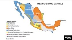 Los cárteles de la droga en México. 