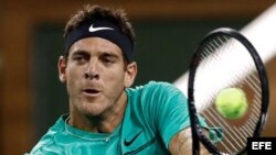 Juan Martín del Potro.